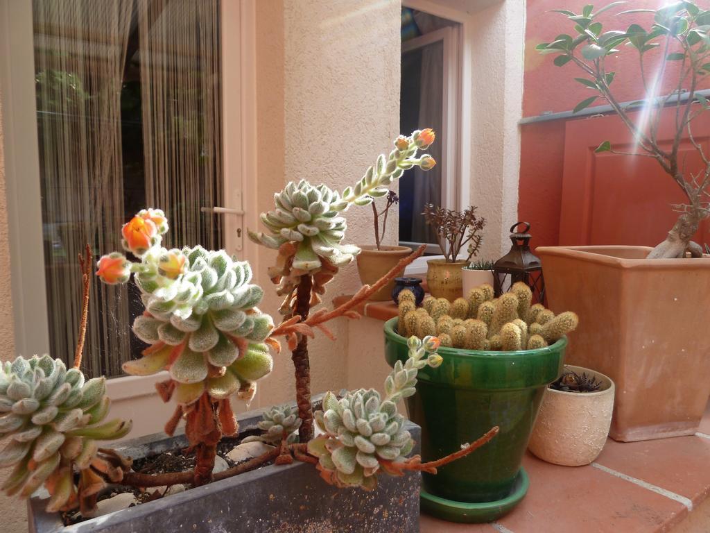 Hotel La Villa Patricia - Charme Et Tradition Villefranche-sur-Mer Exterior photo